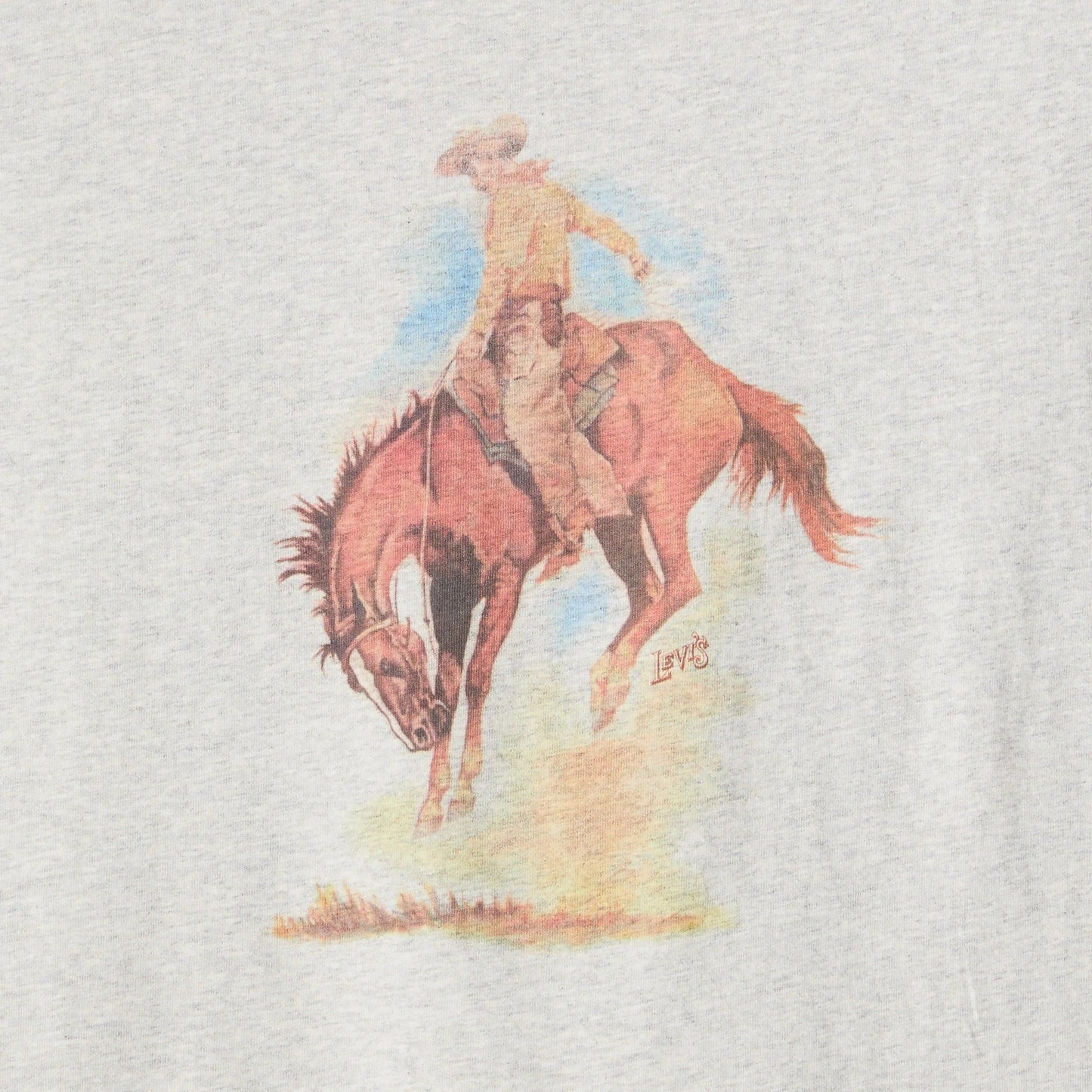 Levi's® Men's Relaxed Short Sleeve Graphic T-Shirt