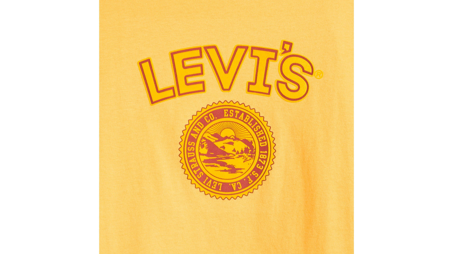 Levi's® Men's Relaxed Fit Short-Sleeve Graphic T-Shirt