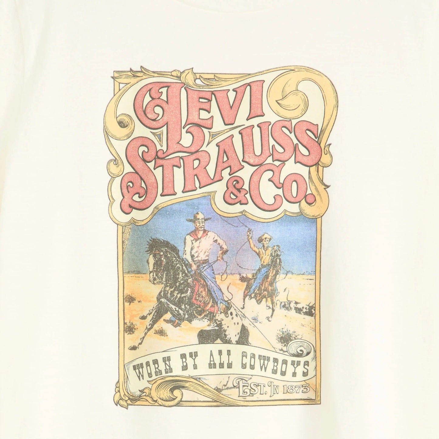 Levi's® Women's Graphic Boxy T-Shirt