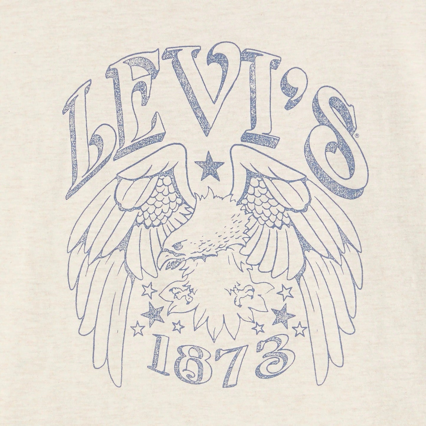 Levi's® Women's Graphic Boxy T-Shirt