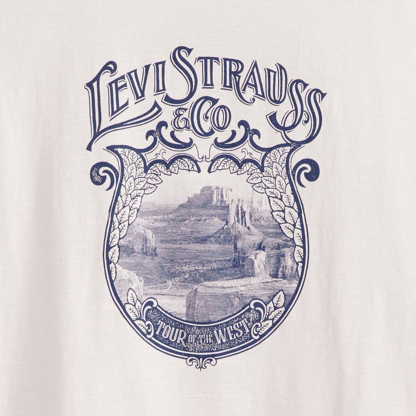 Levi's® Women's Graphic Boxy Tank Top