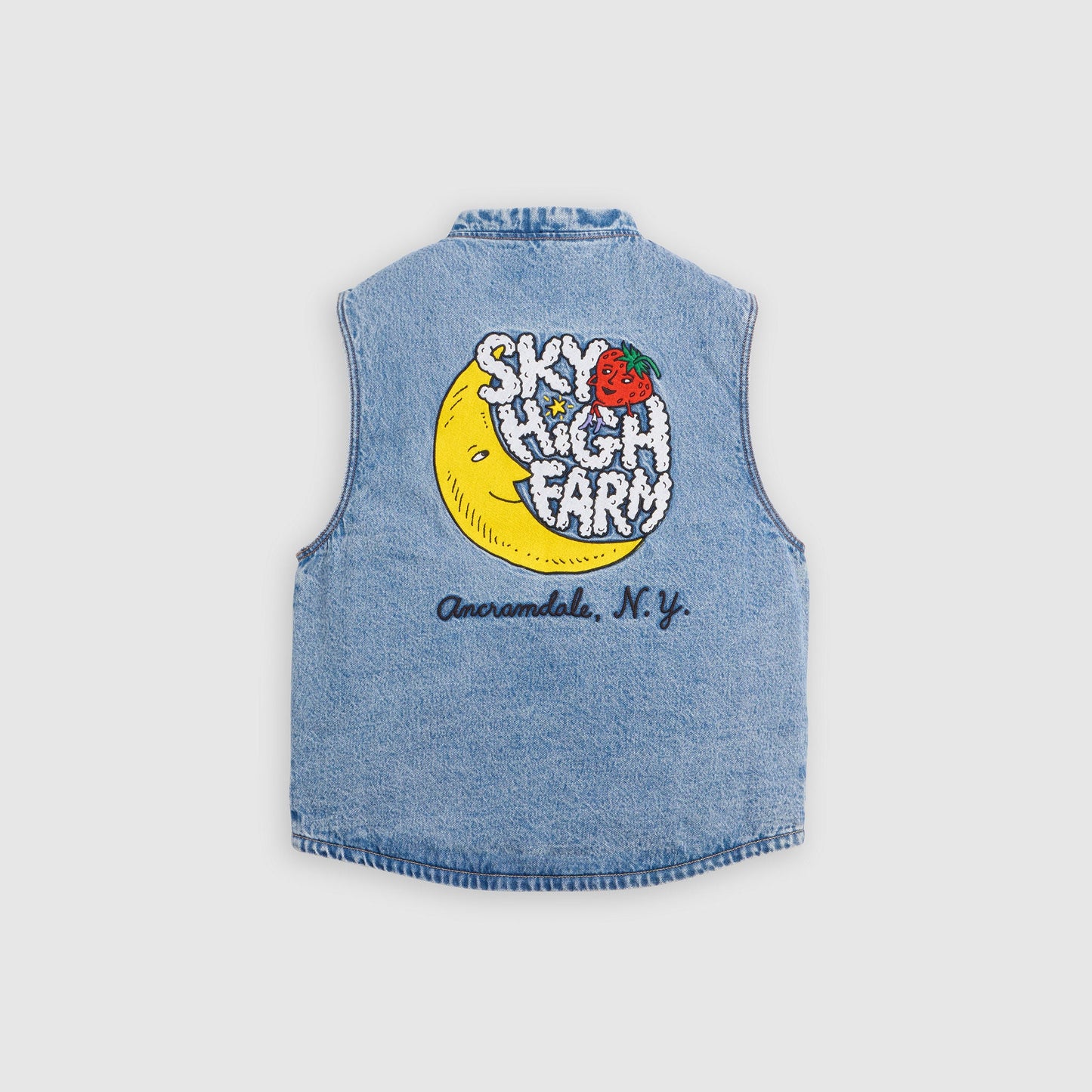 Levi’s® x Sky High Farm Goods Vest